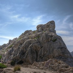 The Rock