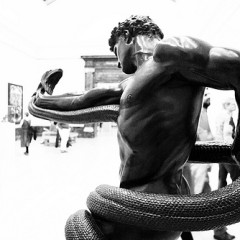 The Violent Take It By Force