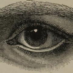 Sights & Sounds, Eyes & Ears