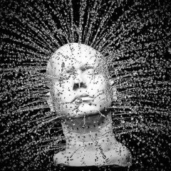 The Renewing Of Your Mind