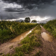 Storms are powerful… Sometimes God allows them.