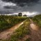 Storms are powerful… Sometimes God allows them.