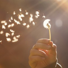 The Way God Works