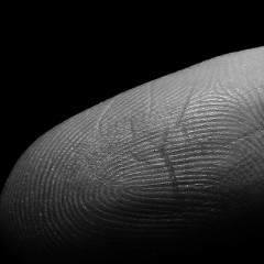 The Benefits of Preserving Our Identity